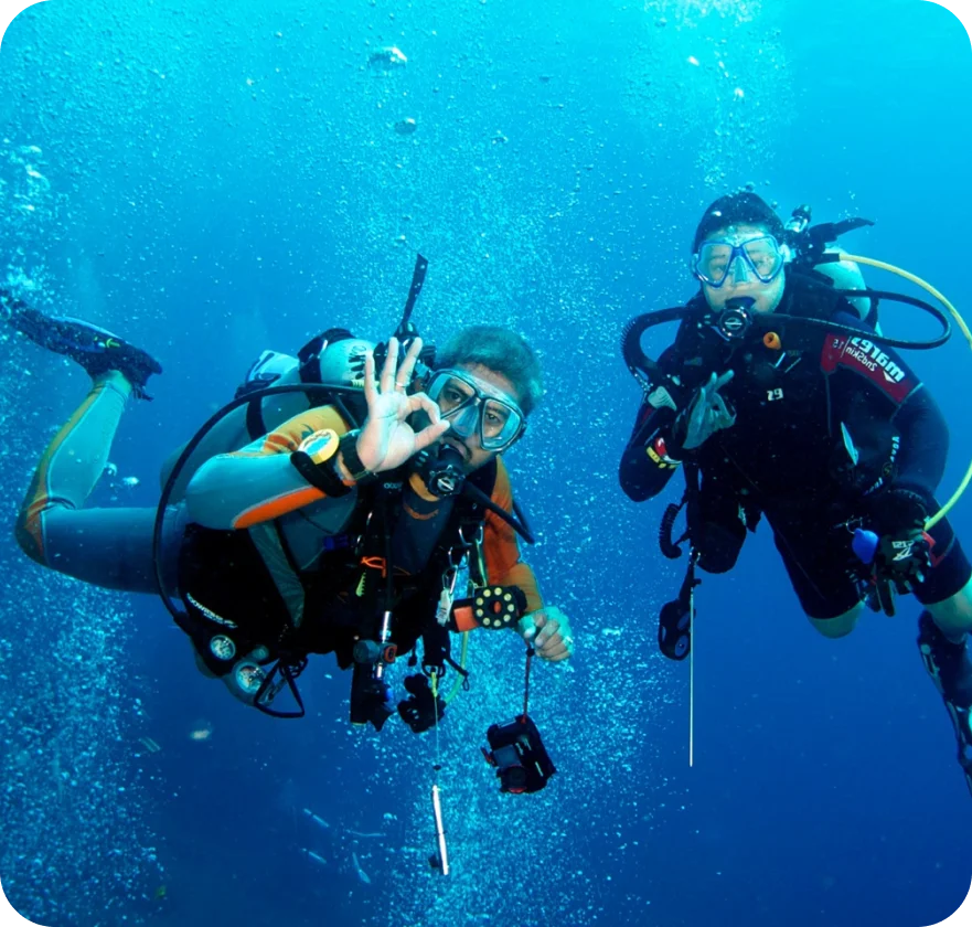 Diving fujairah-Explore the Enchanting Depths of the Ocean​