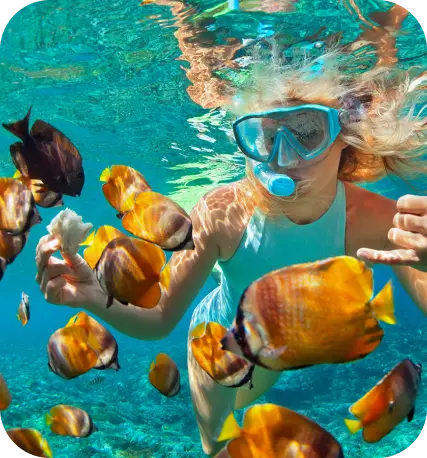 Best scuba diving