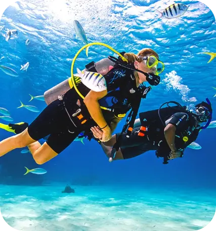 Best scuba diving