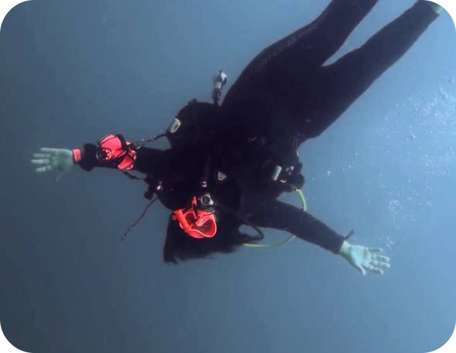learn to dive