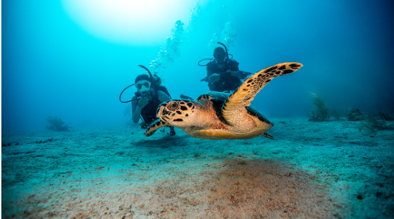 PADI Discover Scuba Diving Program
