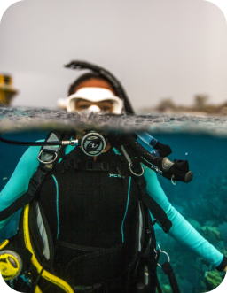PADI Scuba Diver Course Certification