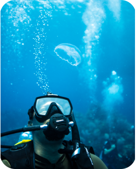 PADI Aware