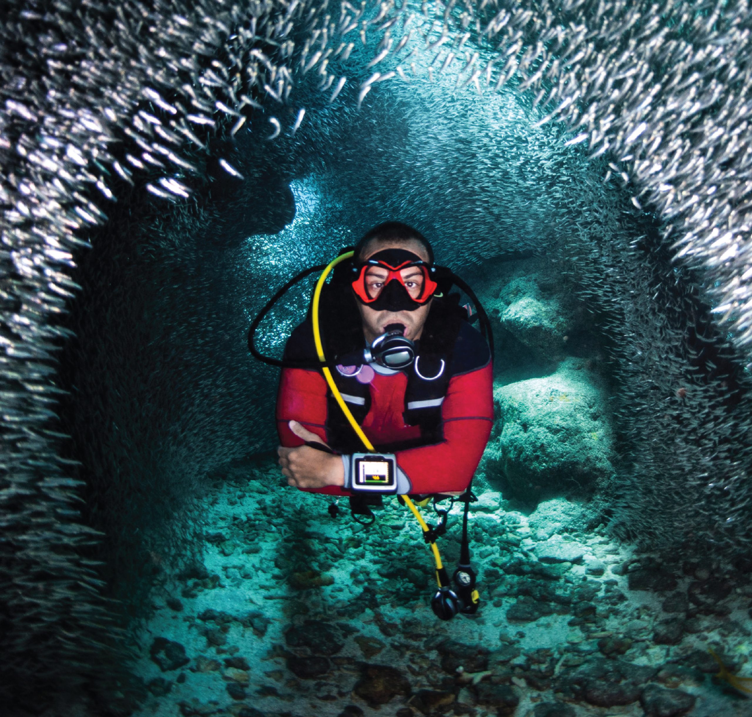 Best scuba diving center