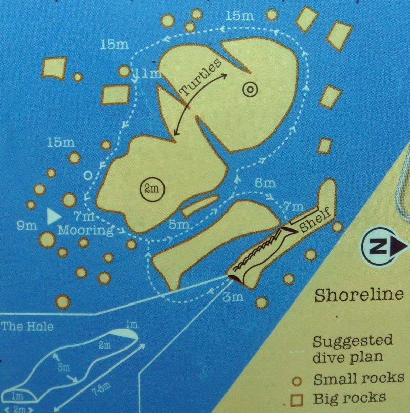best dive sites in the world -HOLE IN THE WALL