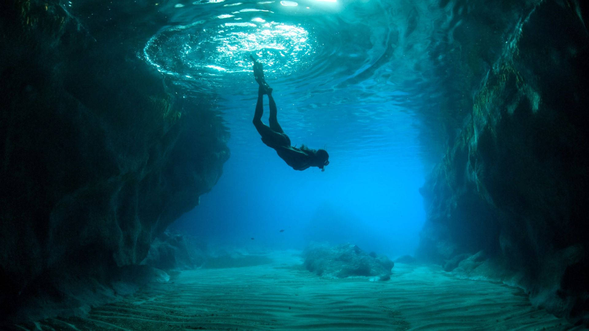 best dive sites in the world-MARTINI WALL