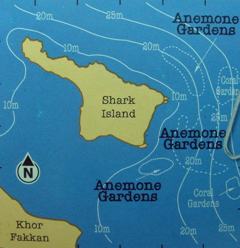 best dive sites in the world